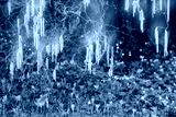 preview cold