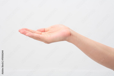image to crop
