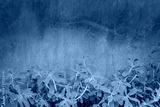 preview cold