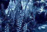 preview cold
