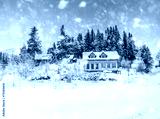 preview cold