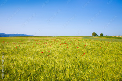 image to crop