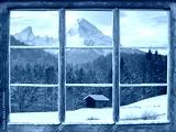 preview cold