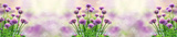 preview original