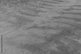 preview bw