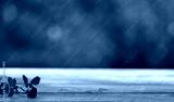 preview cold