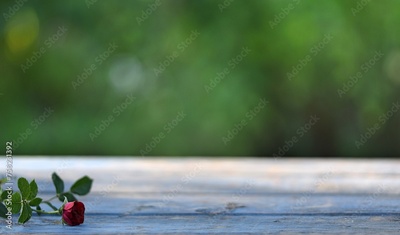 image to crop