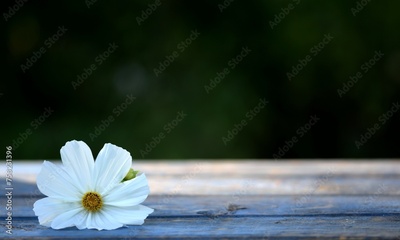 image to crop