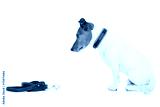 preview cold