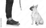 preview bw