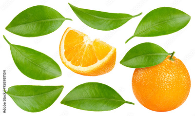 image to crop