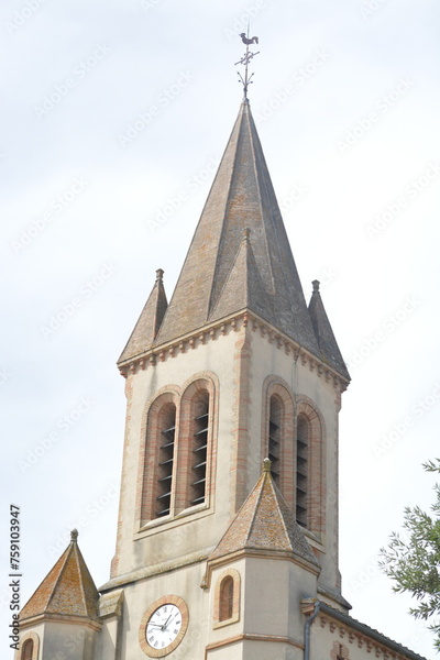 image to crop