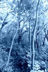 preview cold