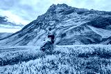 preview cold