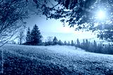 preview cold