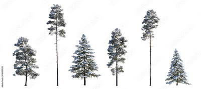 image to crop