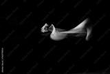 preview bw