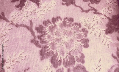 image to crop