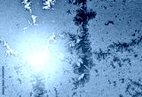 preview cold