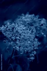 preview cold