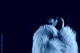 preview cold