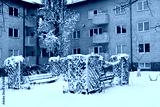 preview cold