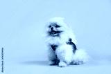 preview cold