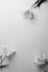 preview bw