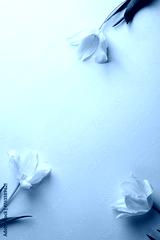 preview cold