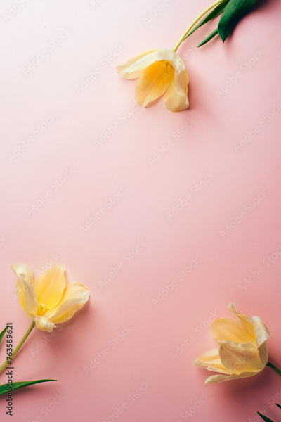 image to crop