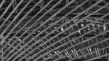 preview bw