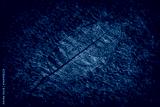 preview cold