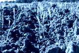 preview cold