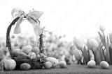 preview bw