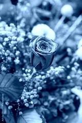 preview cold