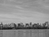 preview bw
