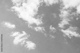 preview bw