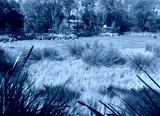 preview cold