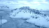 preview cold