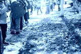 preview cold