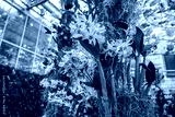 preview cold