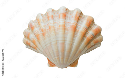 image to crop