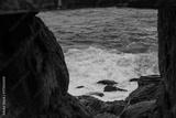 preview bw