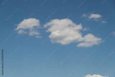 image to crop