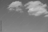 preview bw