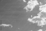 preview bw