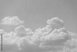 preview bw