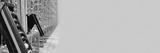 preview bw