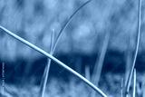 preview cold