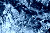 preview cold